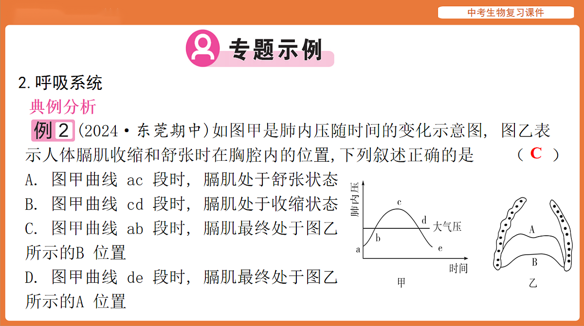 17895476第7页
