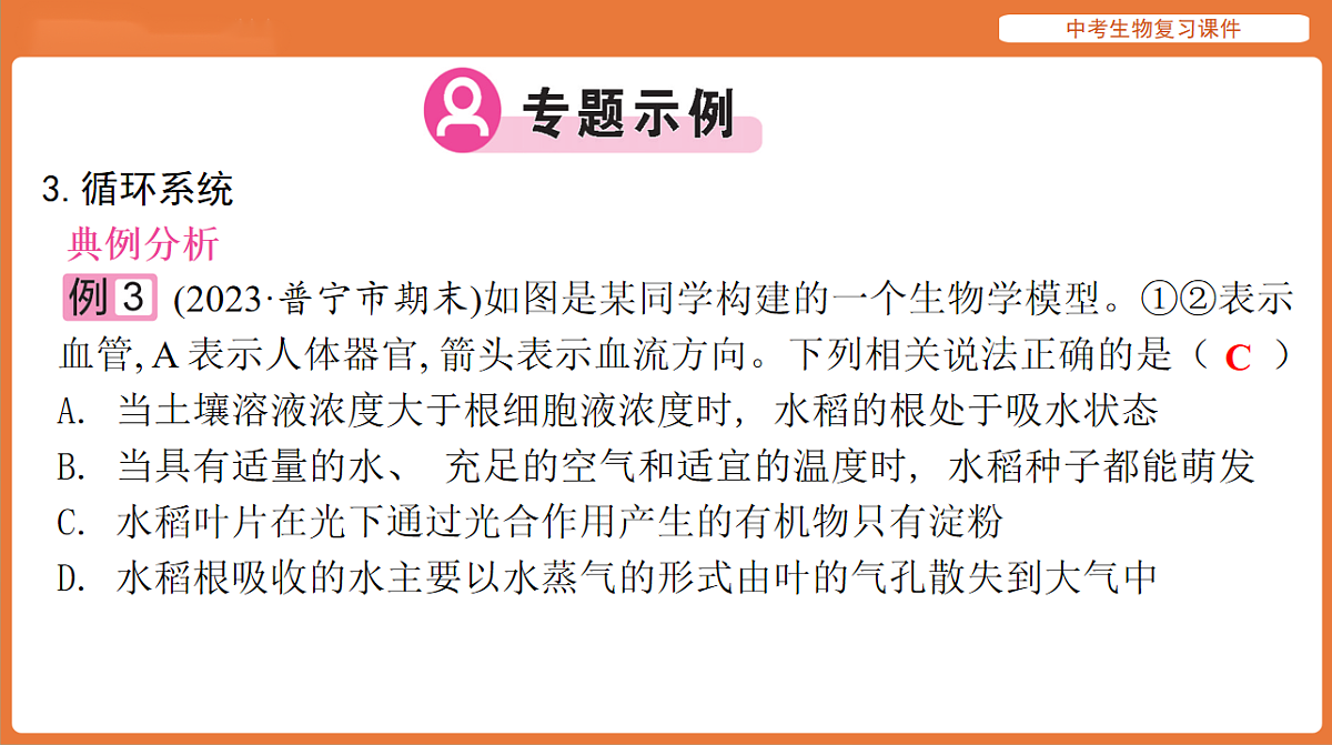 17895476第8页