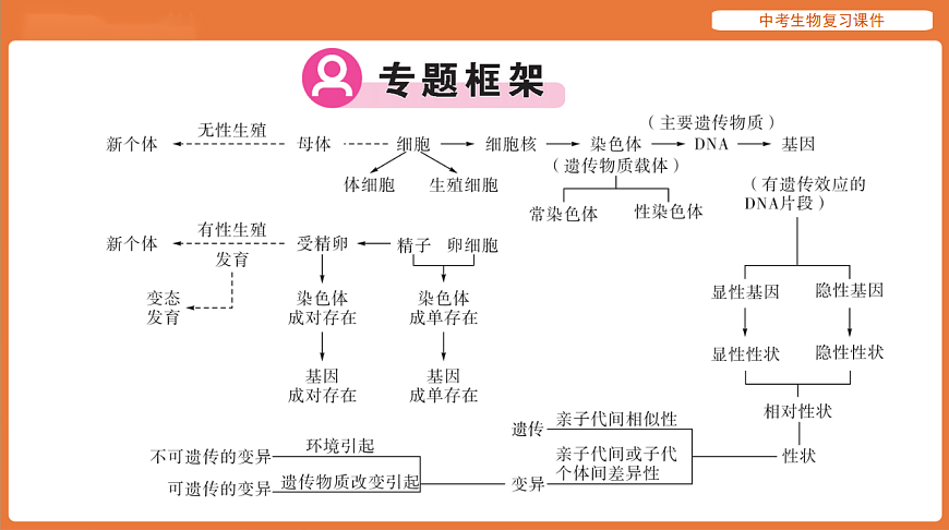 17895477第2页