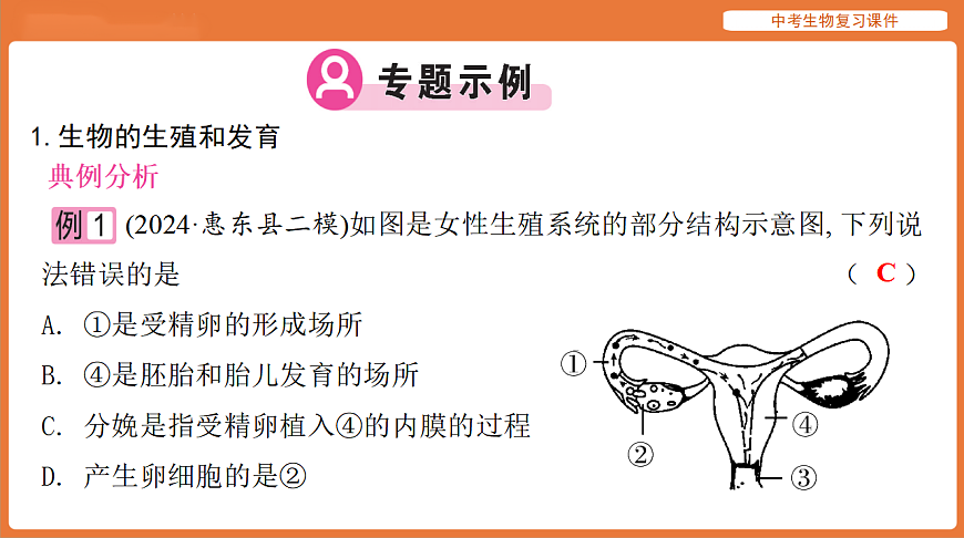 17895477第4页
