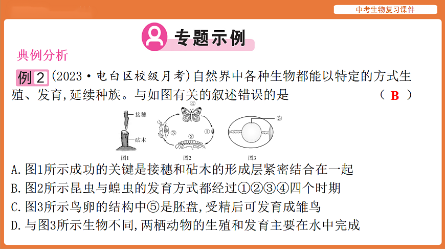 17895477第5页
