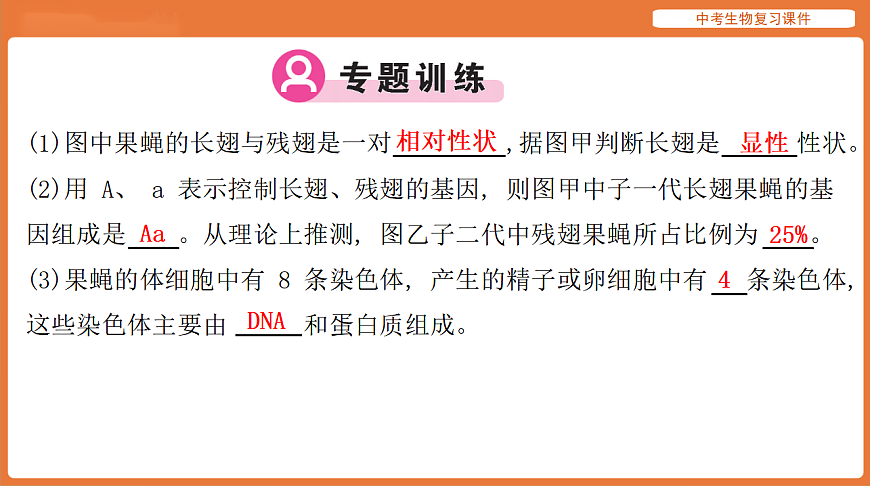 17895477第7页
