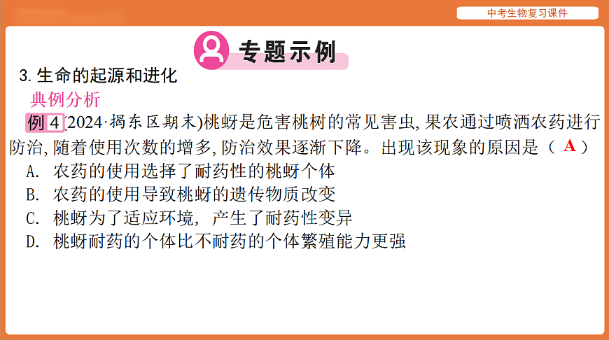 17895477第8页