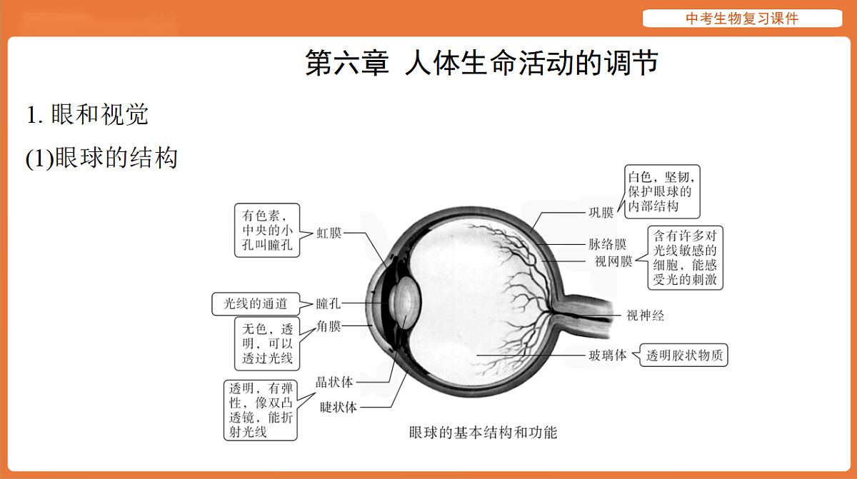 17895486第2页