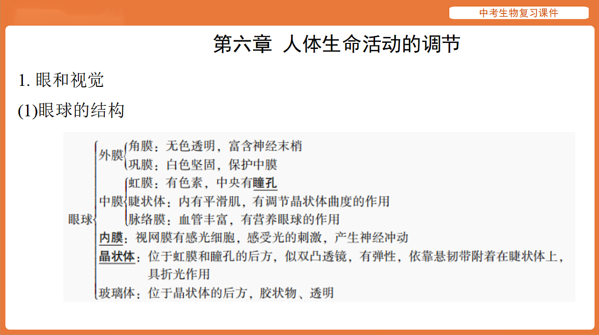 17895486第3页
