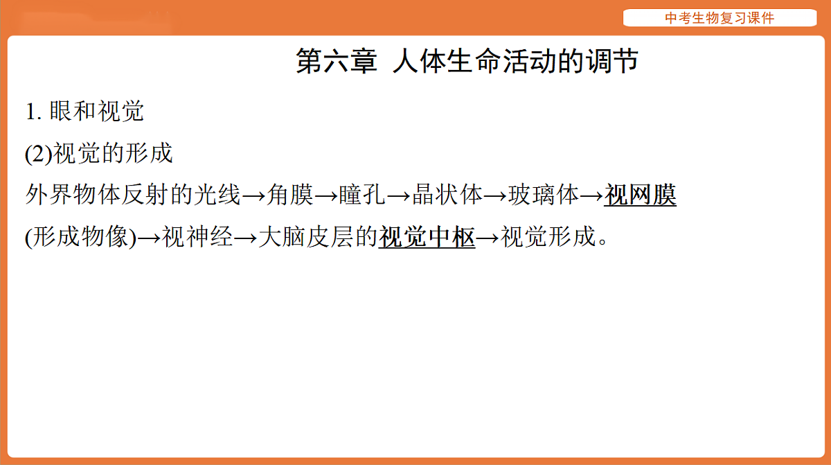 17895486第4页