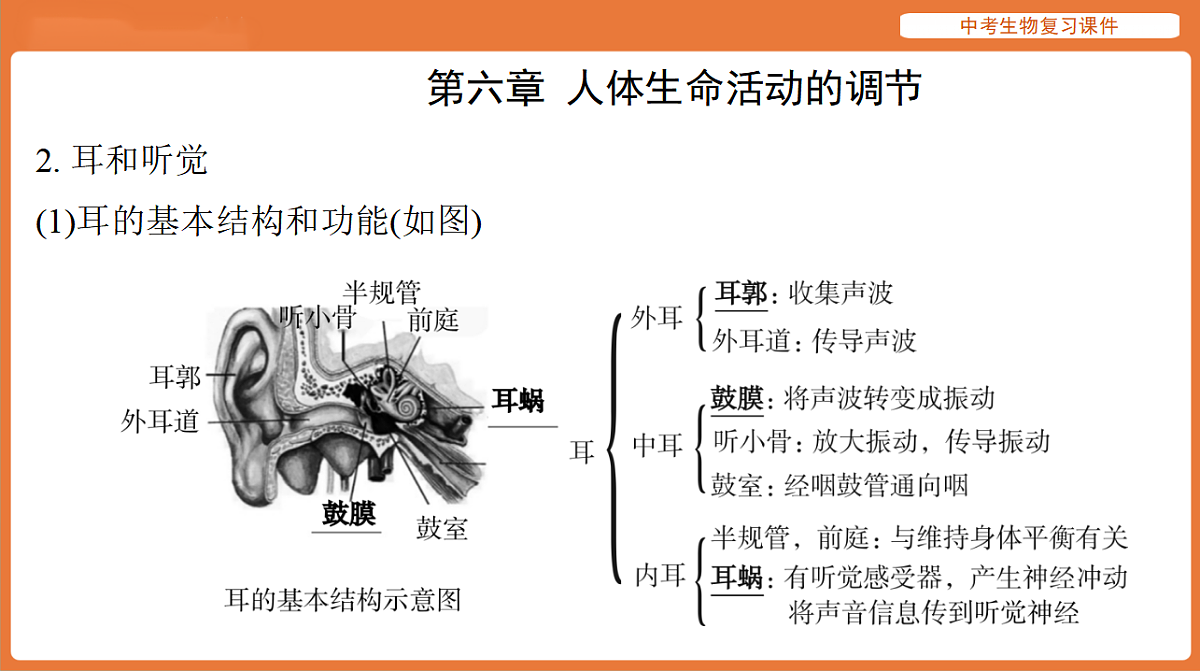 17895486第5页