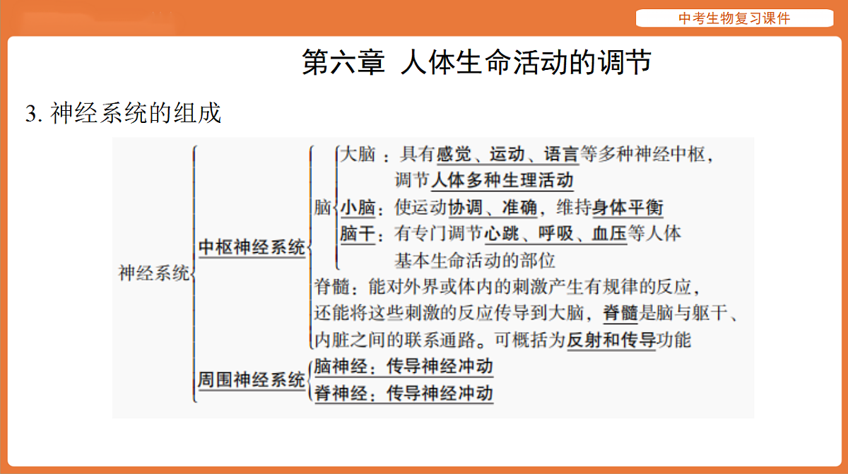 17895486第8页