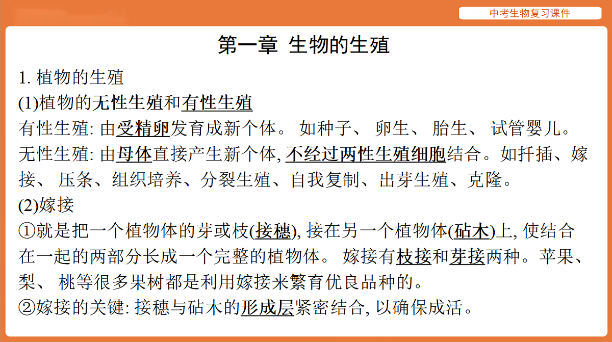 17895487第2页