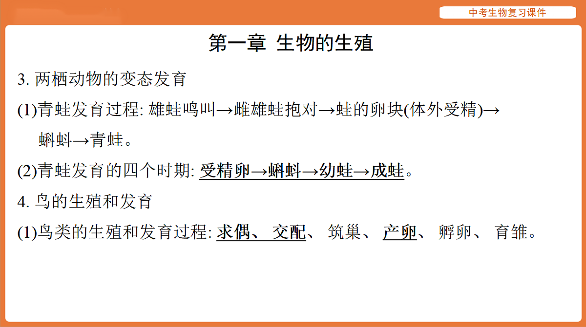 17895487第5页