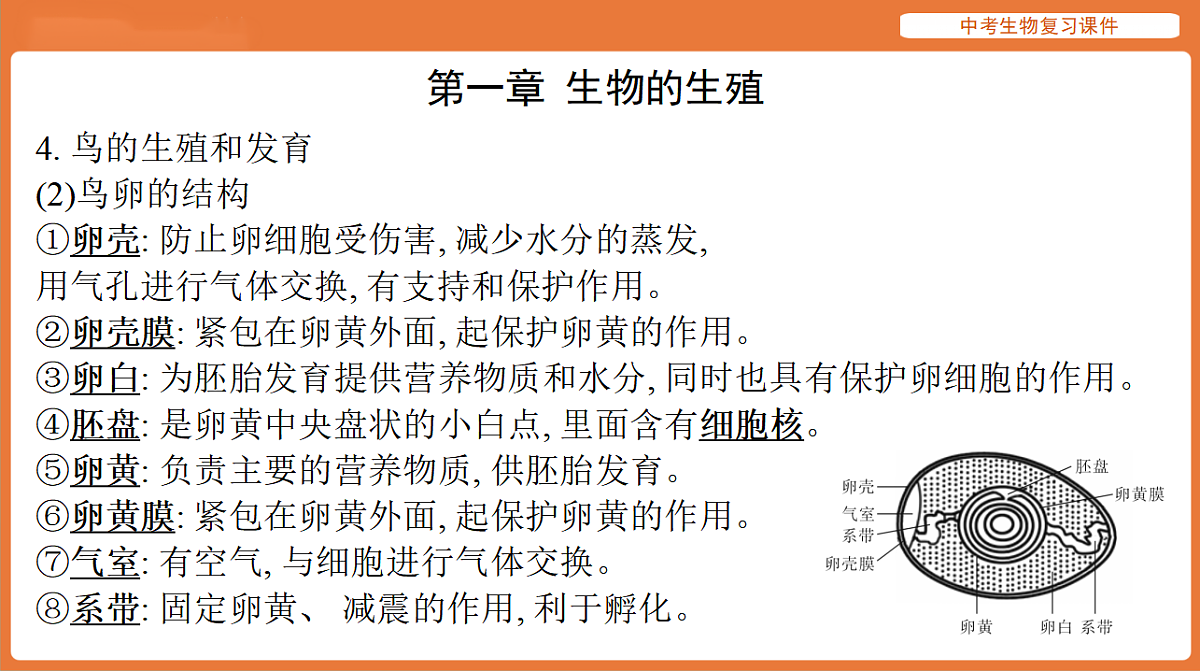 17895487第6页