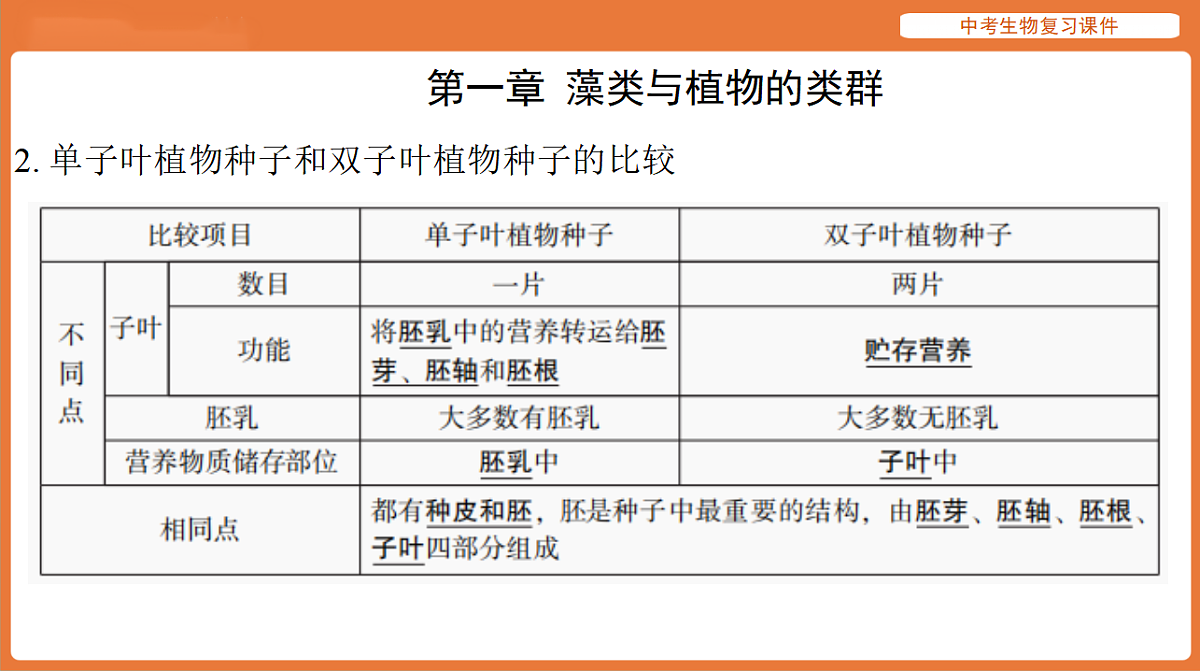 17895488第3页