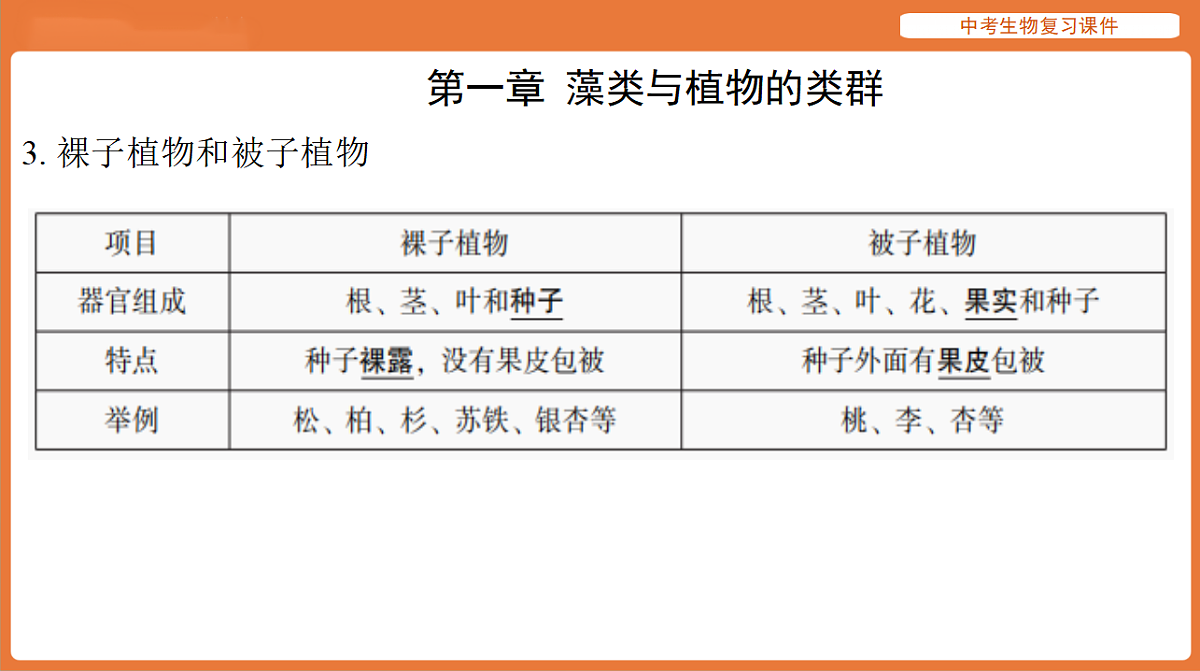 17895488第4页