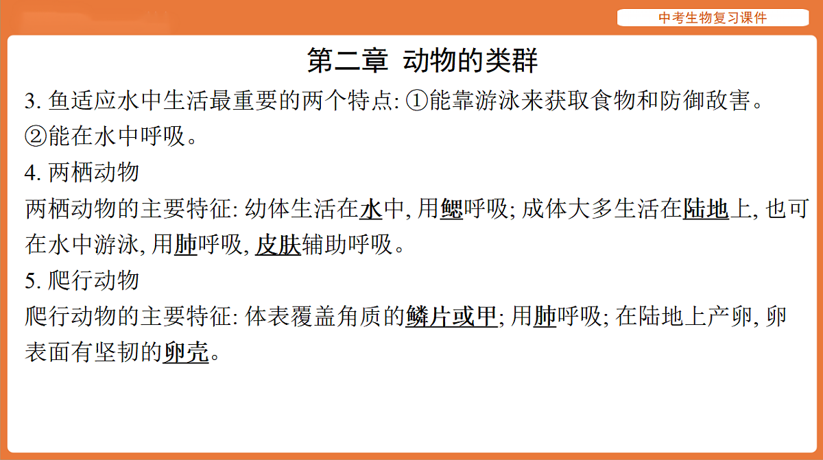 17895488第7页