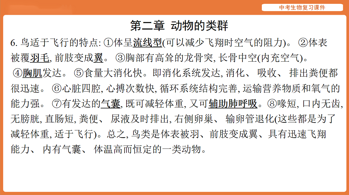 17895488第8页