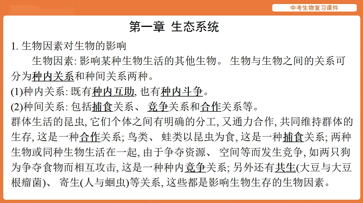 17895489第2页