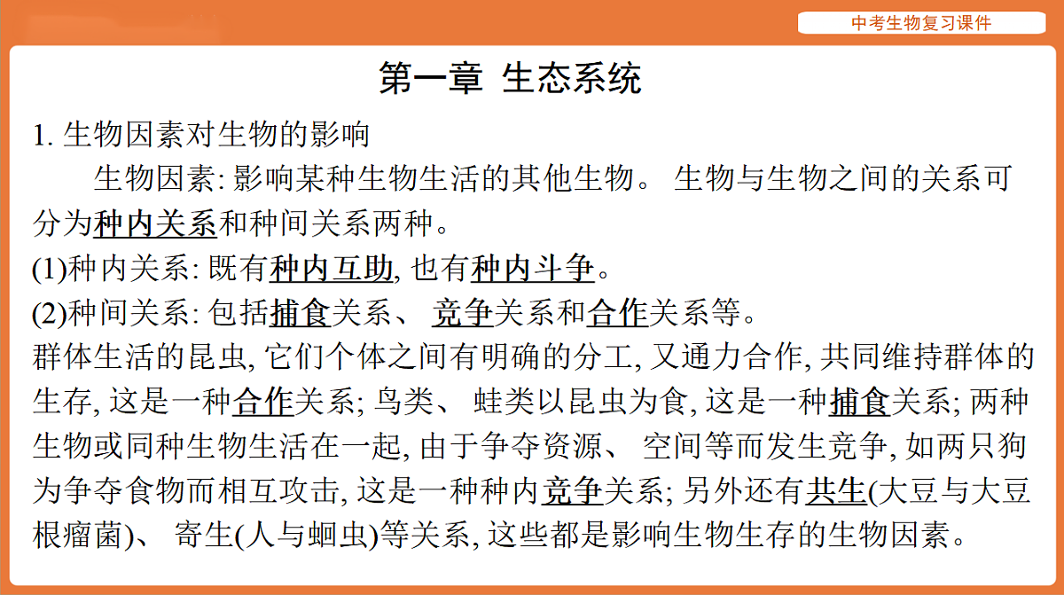 17895489第2页