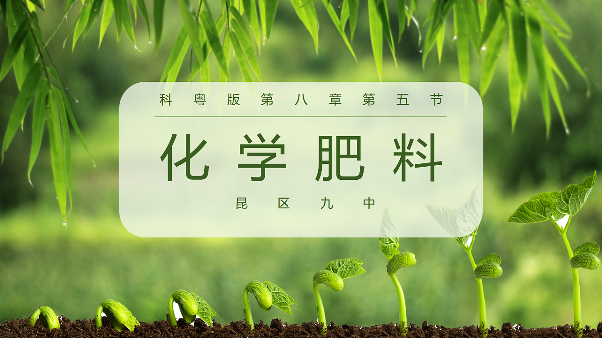 17895878第1页