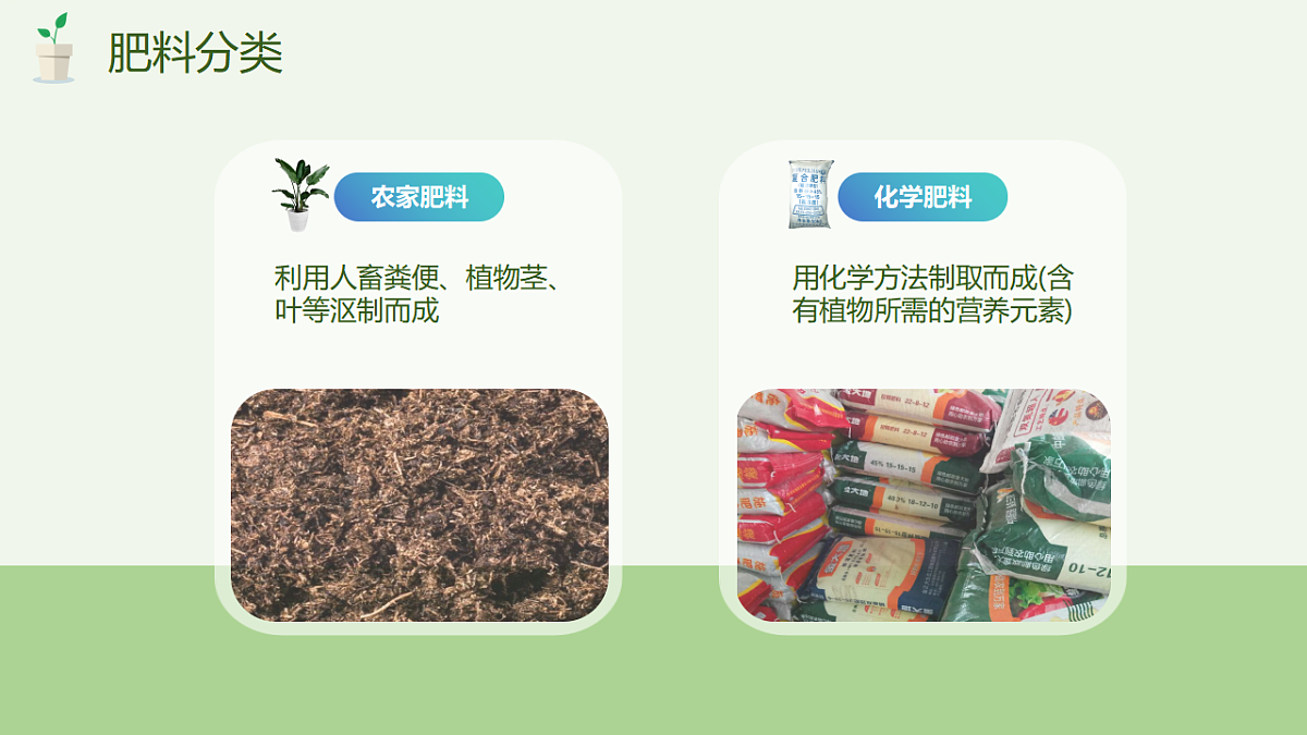 17895878第3页