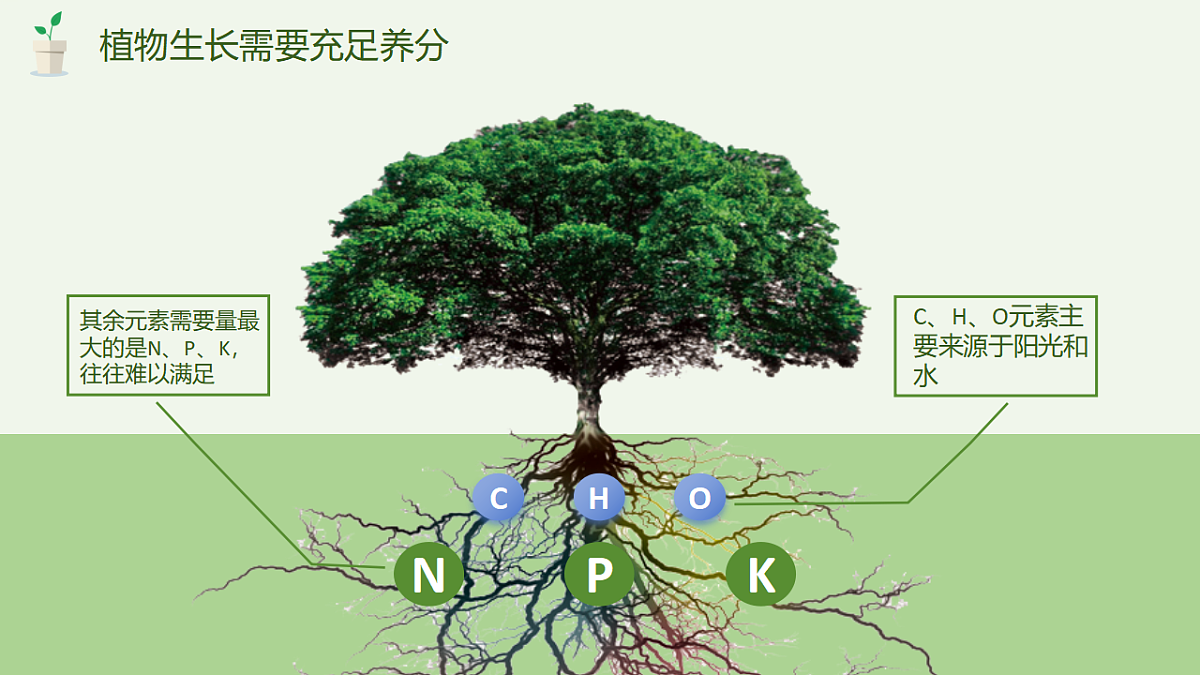 17895878第4页