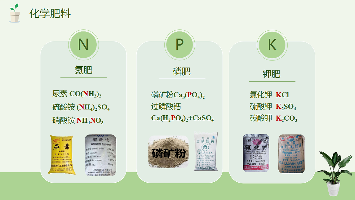 17895878第5页