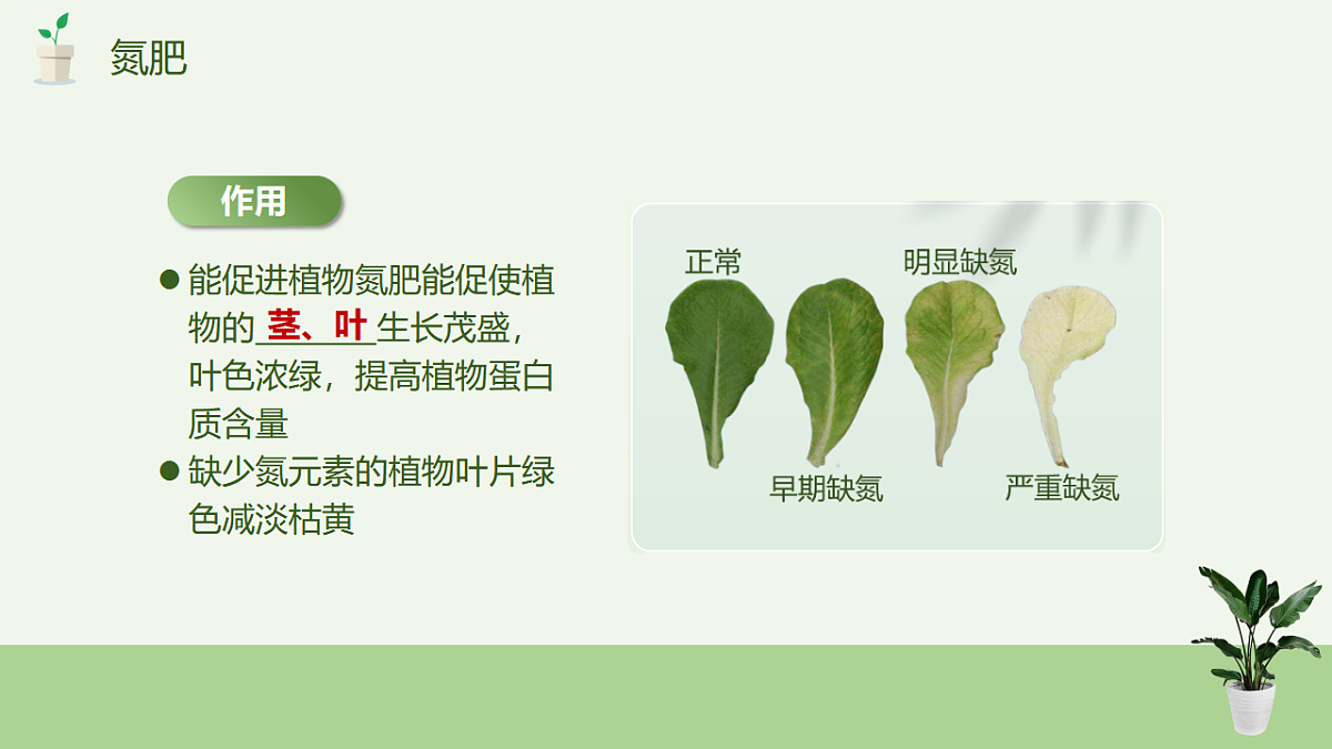 17895878第6页
