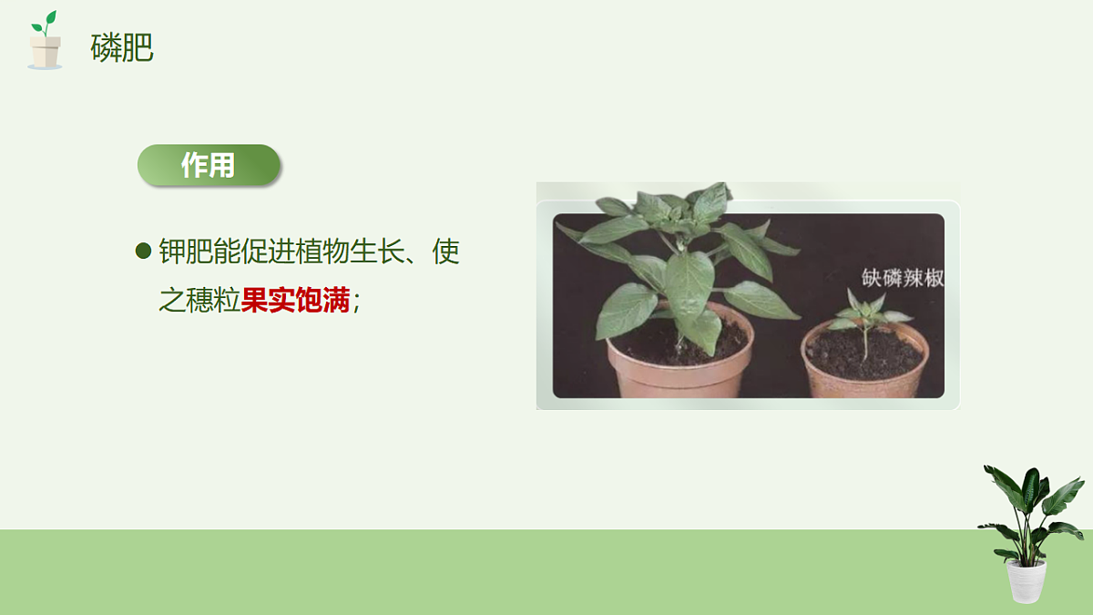 17895878第7页