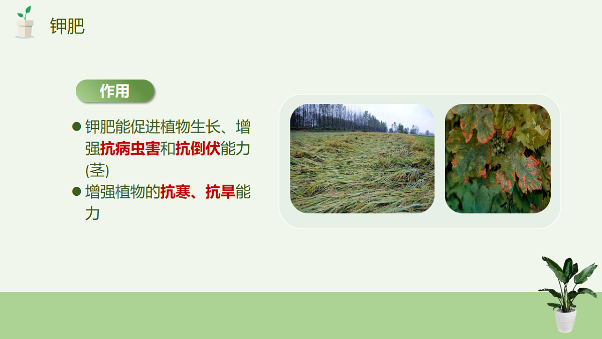 17895878第8页