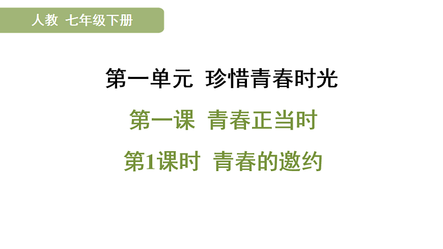 17895893第1页