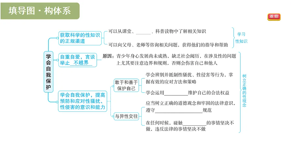 17895895第2页