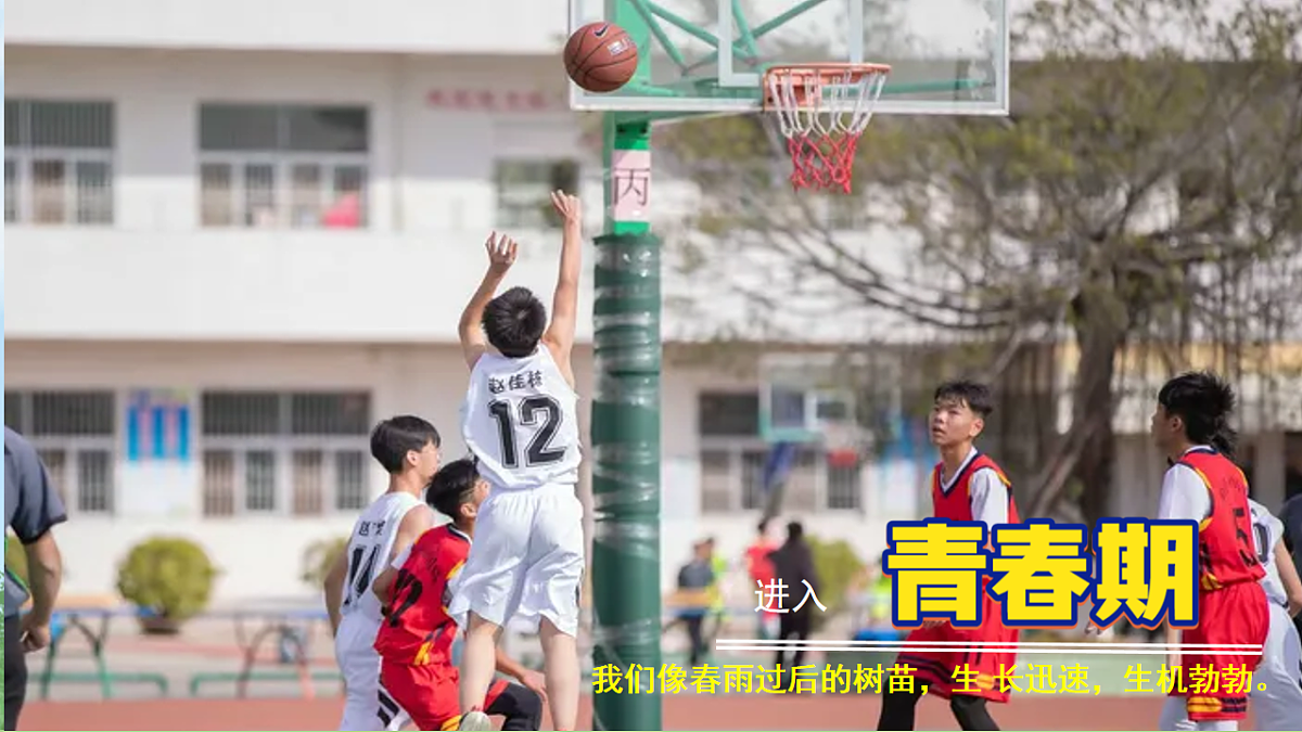 17895896第4页