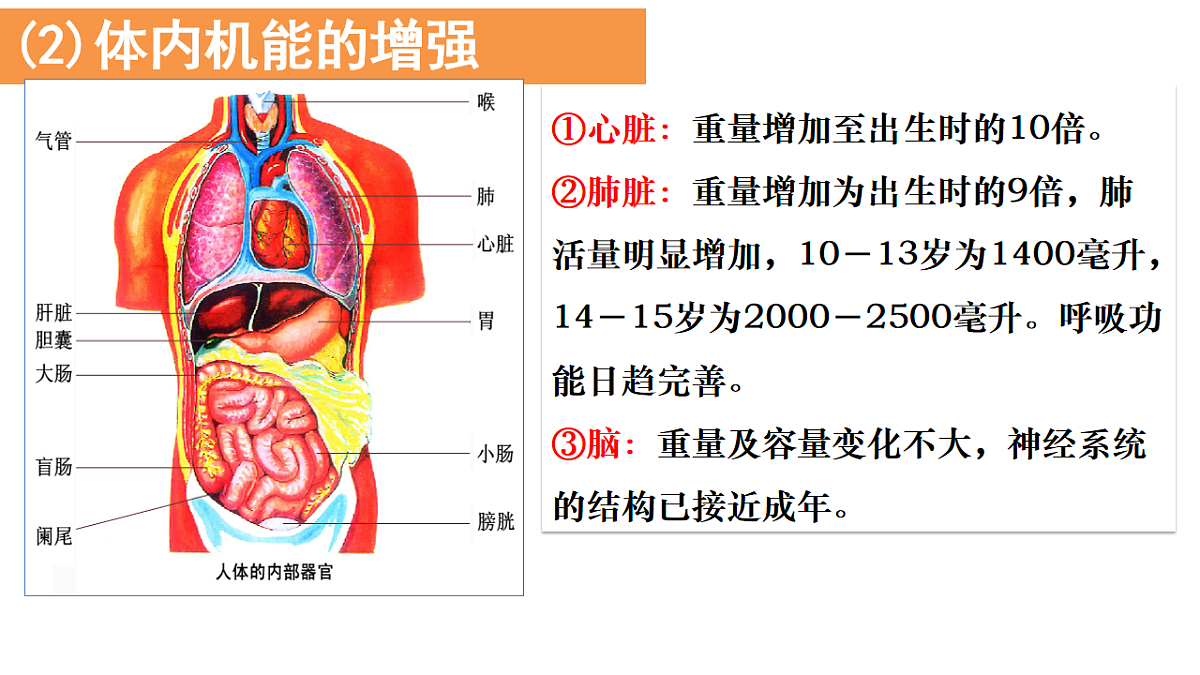 17895899第7页