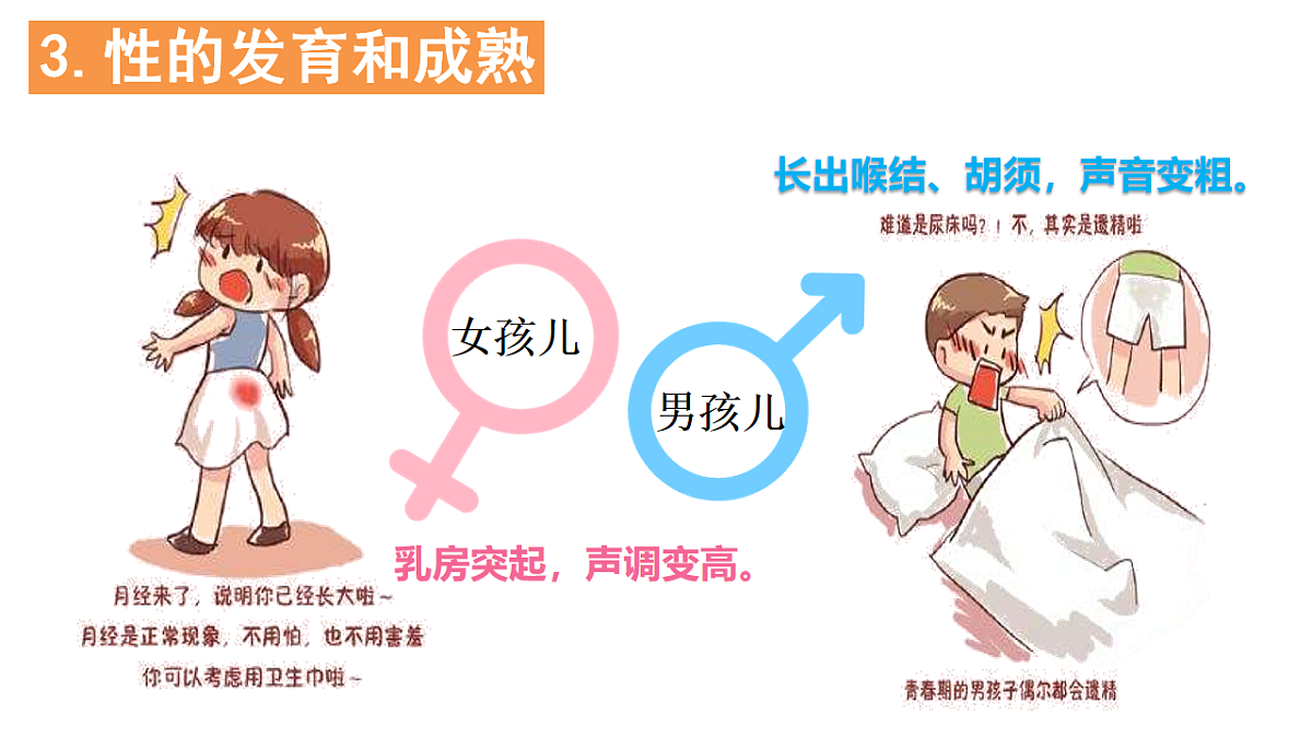 17895899第8页
