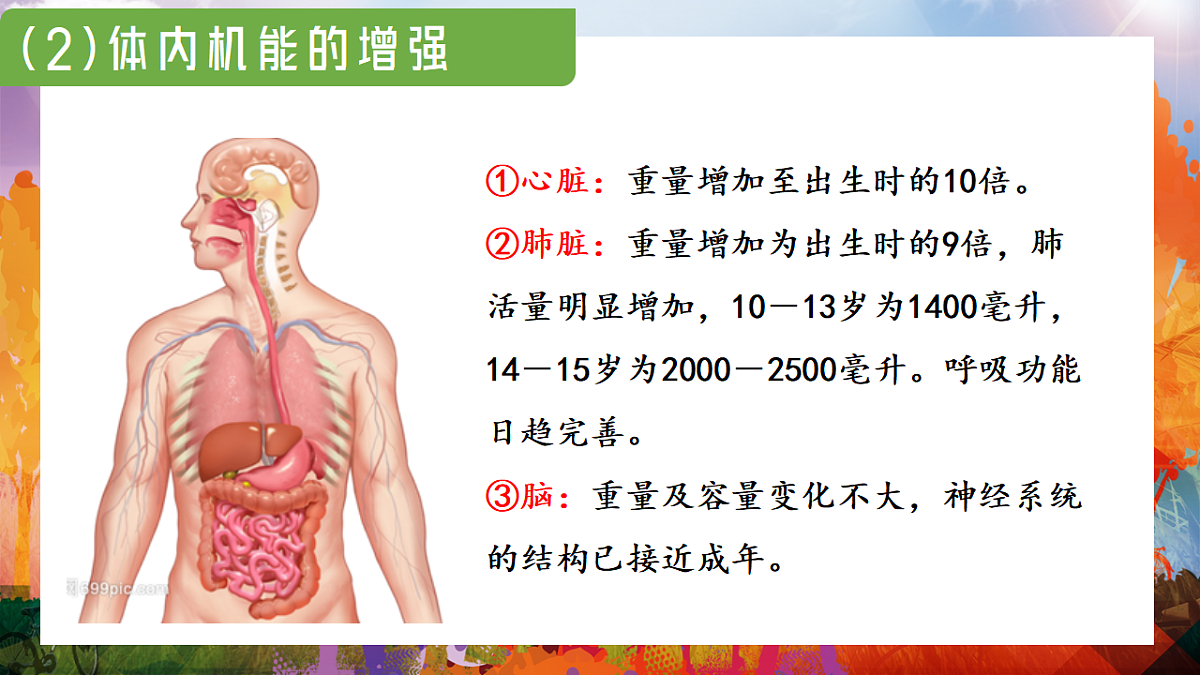 17895901第6页