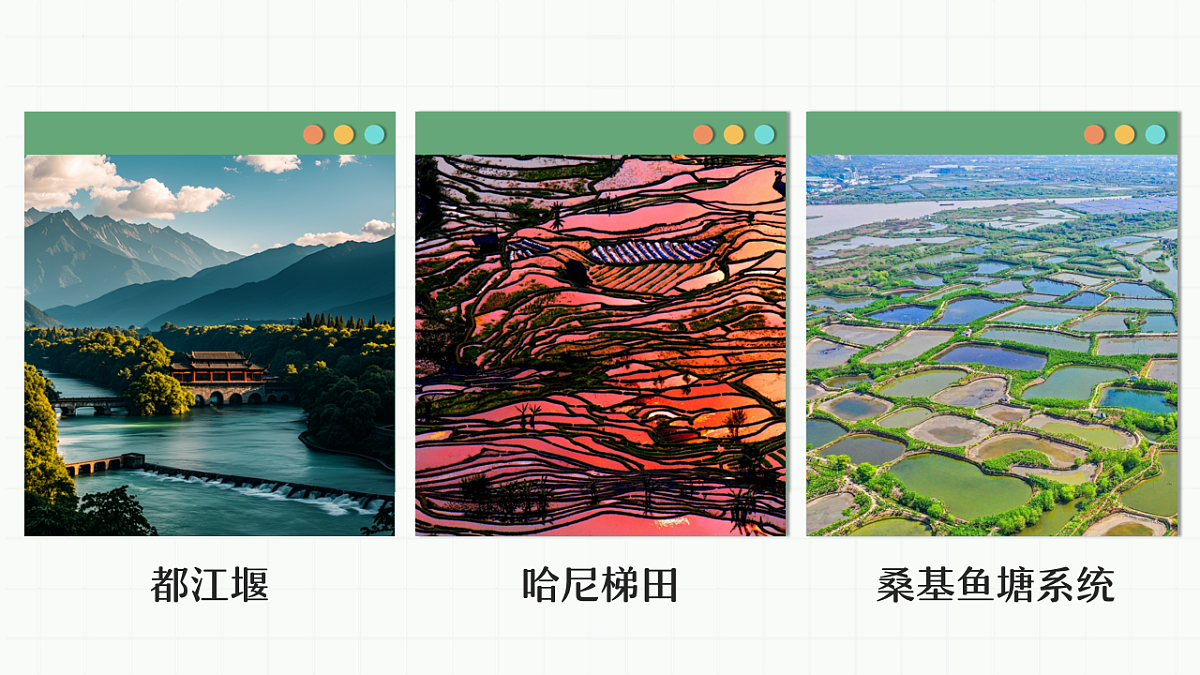 17895918第5页