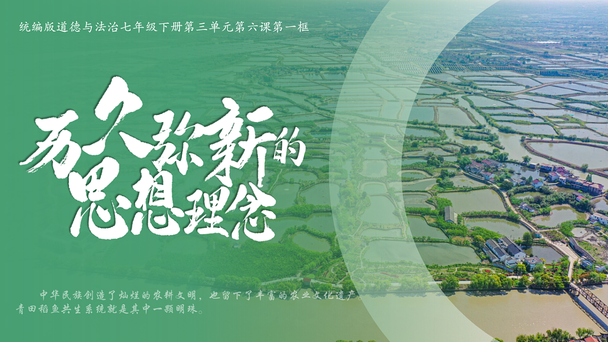 17895918第6页