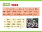 【任务型教学】统编语文八下1《社戏》 课件+教案+导学案（师生版）+同步测试（含答案）