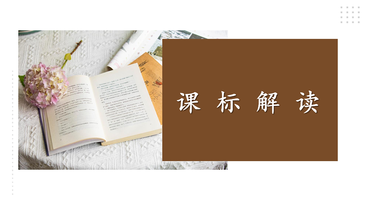 17896194第2页