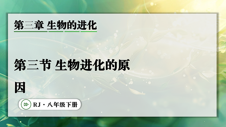 17896952第1页