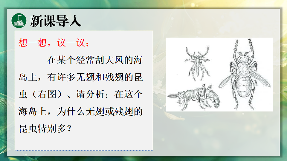 17896952第3页