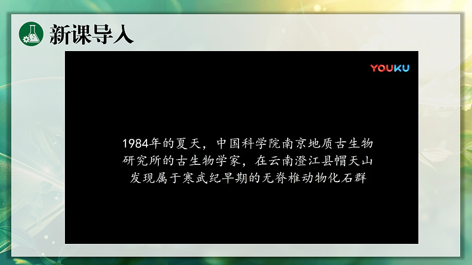 17896952第4页
