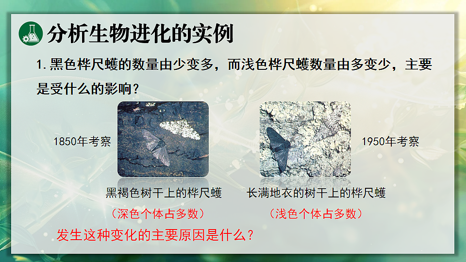 17896952第5页