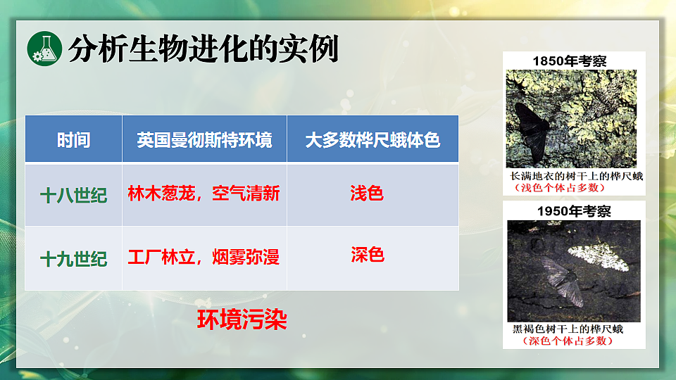 17896952第6页