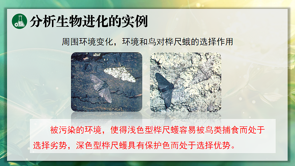 17896952第7页