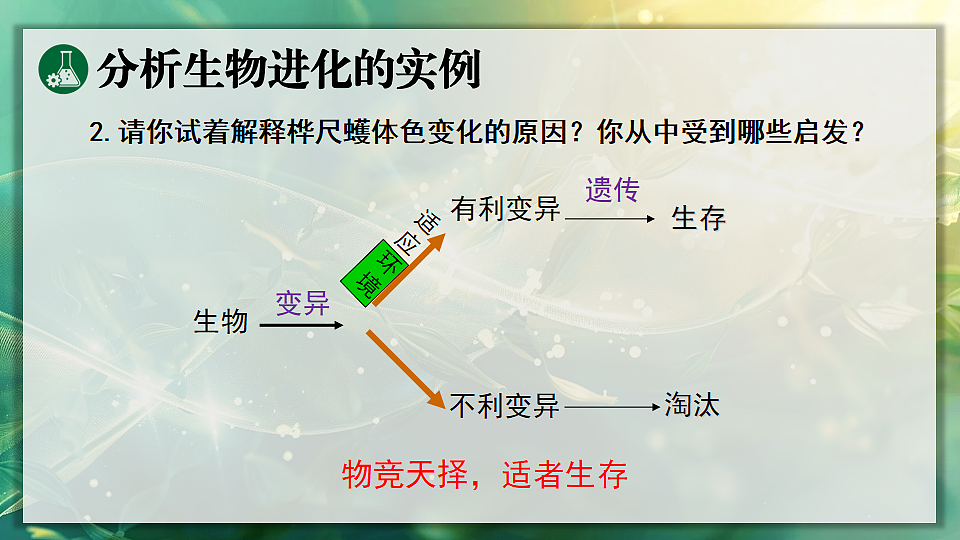 17896952第8页