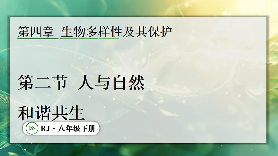 17896955第1页