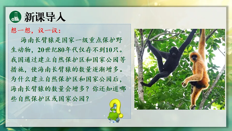 17896955第3页