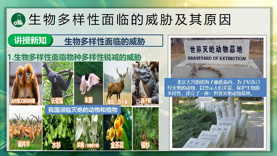 17896955第4页