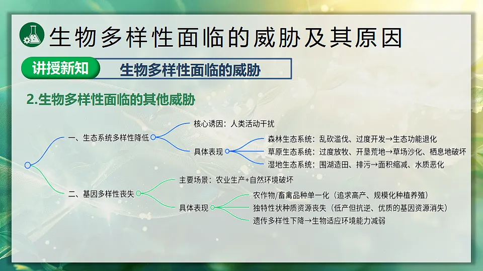 17896955第5页