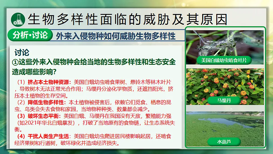 17896955第7页